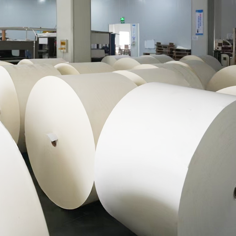 Hârtie de jos acoperită cu plastic compostabil fără plastic